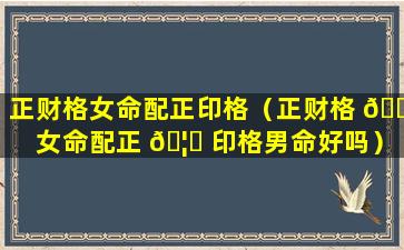 正财格女命配正印格（正财格 🐘 女命配正 🦁 印格男命好吗）